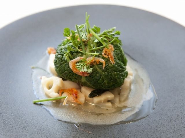 福富れんこんのマリネとムースキャベツ包み 桜エビのアクセント 笹嶋 伸幸シェフのレシピ シェフごはん