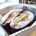 おにぎらず　「焼き肉ときんぴらと冷凍たまご」
